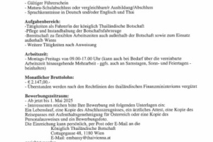 <strong>Read more about</strong><br />Vacancy Announcement / Ankündigung Vacancy Announcement / Ankündigung