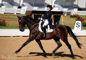 <strong>Read more about</strong><br />สมเด็จพระเจ้าลูกเธอ เจ้าฟ้าสิริวัณณวรี นารีรัตนราชกัญญา เสด็จเข้าร่วมการแข่งขันศิลปะการบังคับม้า ประเภทเดรสสาจ ระดับ CDI4* ณ สนามแข่งขันชินเดิลโฮฟ (Schindlhof) เมืองฟริทเซนส์ รัฐทิโรล สาธารณรัฐออสเตรีย สมเด็จพระเจ้าลูกเธอ เจ้าฟ้าสิริวัณณวรี นารีรัตนราชกัญญา เสด็จเข้าร่วมการแข่งขันศิลปะการบังคับม้า ประเภทเดรสสาจ ระดับ CDI4* ณ สนามแข่งขันชินเดิลโฮฟ (Schindlhof) เมืองฟริทเซนส์ รัฐทิโรล สาธารณรัฐออสเตรีย