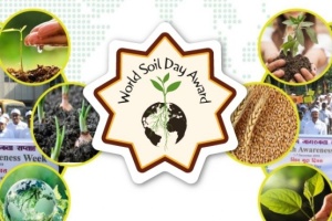 <strong>Read more about</strong><br />King Bhumibol World Soil Day Award: Call for application by 10 September 2021 King Bhumibol World Soil Day Award: Call for application by 10 September 2021