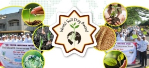King Bhumibol World Soil Day Award: Call for application by 10 September 2021